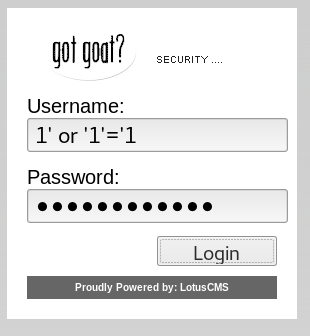 LOGIN Bypassing Authentication